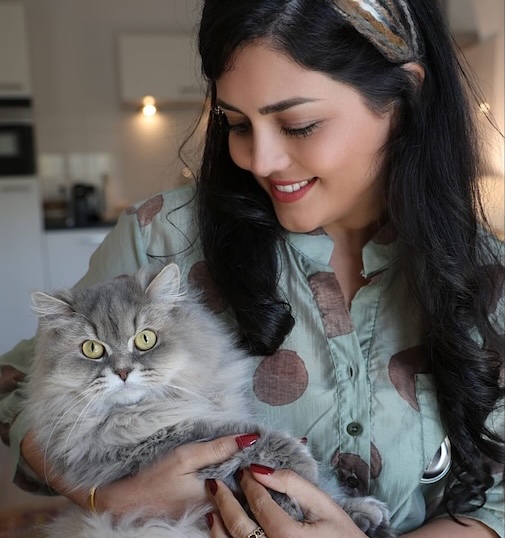 mobiele trimsalon, mobile grooming, cat grooming van, mochi grooming