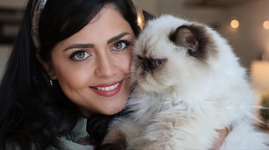 mobiele trimsalon, mobile grooming, cat grooming van, mochi grooming